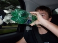 phoca_thumb_l_Zpet_domu_016