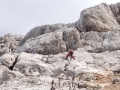 phoca_thumb_l_Adamek076