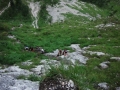 phoca_thumb_l_Seewand_119