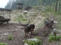 phoca_thumb_l_sparber_013