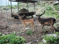 phoca_thumb_l_sparber_017